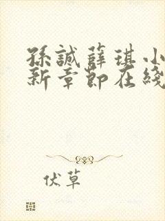 孙诚薛琪小说最新章节在线阅读