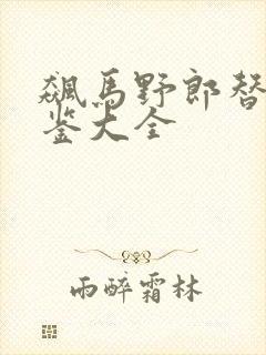 飙马野郎替身图鉴大全 飙马野郎替身图鉴大全