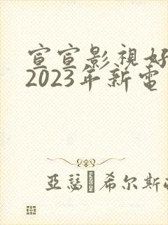 宣宣影视好看的2023年新电视剧