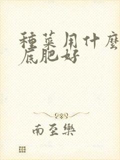 种菜用什么肥做底肥好