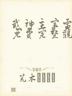 武神主宰电视剧免费完整观看