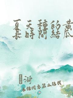 夏天种的黄瓜多长时间结瓜