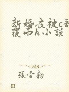 新婚夜被c翻云覆雨h小说