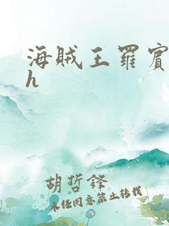 海贼王罗宾同人h