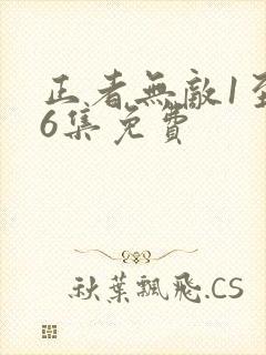 正者无敌1至46集免费