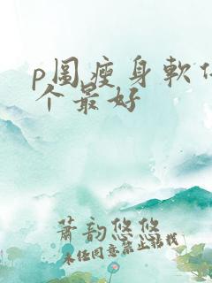 p图瘦身软件哪个最好