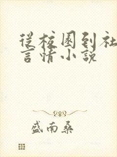 从校园到社会的言情小说
