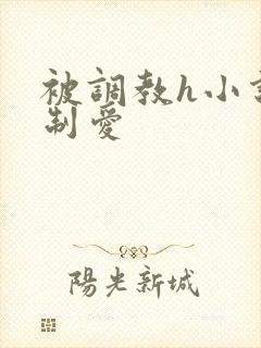 被调教h小说强制爱