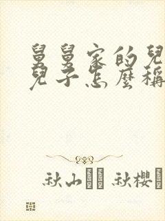 舅舅家的儿子我儿子怎么称呼