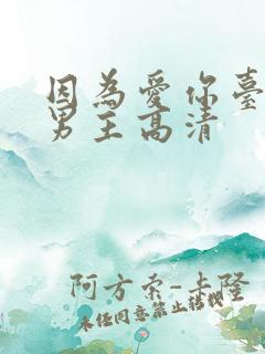 因为爱你台剧双男主高清 因为爱你台剧双男主高清