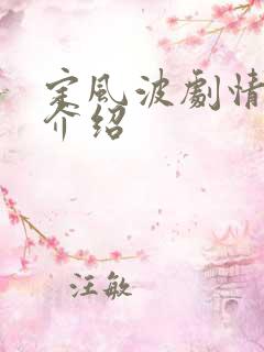 定风波剧情分集介绍