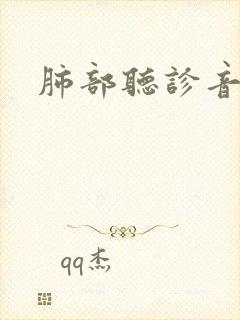 肺部听诊音