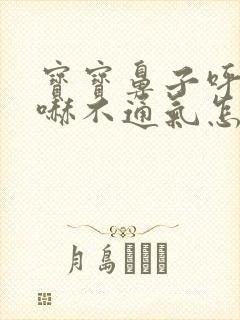 宝宝鼻子呼哧呼哧不通气怎么办 宝宝鼻子呼哧呼哧不通气怎么办