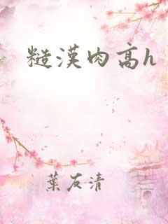 糙汉肉高h