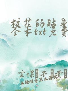 校花的贴身高手全本txt免费下载