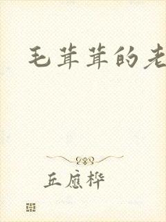 毛茸茸的老太婆