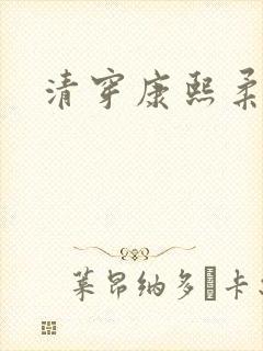 清穿康熙柔妃