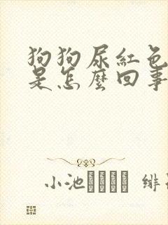 狗狗尿红色的尿是怎么回事