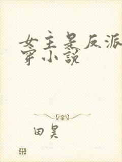 女主是反派的快穿小说