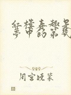 红楼春趣是红楼梦中的第几回
