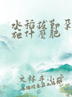 水稻拔节孕穗期施什么肥
