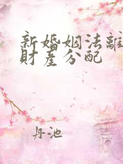 新婚姻法离婚争财产分配
