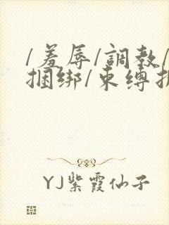 /羞辱/调教/捆绑/束缚折磨