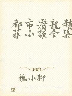 都市潜龙赵东苏菲小说全集完整版