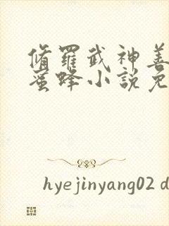 修罗武神善良的蜜蜂小说免费完整版