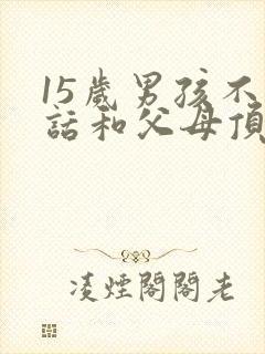 15岁男孩不听话和父母顶嘴