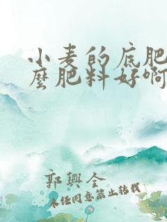 小麦的底肥用什么肥料好啊