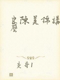 良陈美锦讲了什么