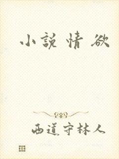 小说 情 欲