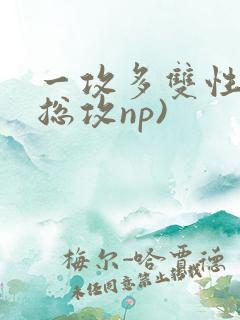 一攻多双性受(总攻np)