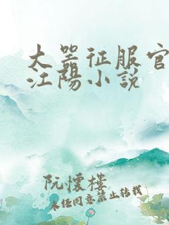 大器征服官场的江阳小说 大器征服官场的江阳小说