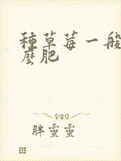 种草莓一般施什么肥 种草莓一般施什么肥