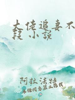 大佬追妻不择手段 小说