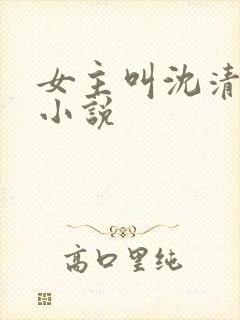 女主叫沈清浅的小说
