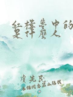 红楼梦中的贾云是什么人