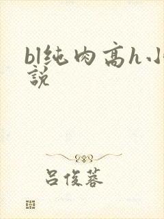bl纯肉高h小说