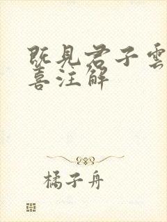 既见君子云胡不喜注解