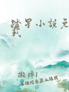 踏星小说免费下载