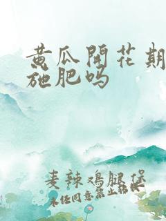 黄瓜开花期需要施肥吗