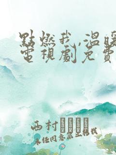 点燃我,温暖你电视剧免费观看全集免费