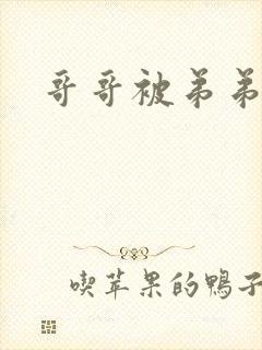 哥哥被弟弟干文