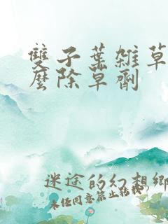 双子叶杂草用什么除草剂