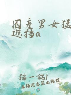 国产男女猛烈无遮挡a