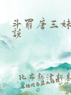 斗罗唐三妹妹小说