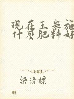 现在玉米施肥用什么肥料好
