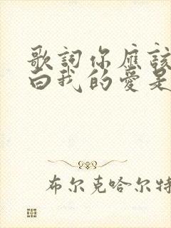 歌词你应该会明白我的爱是什么歌